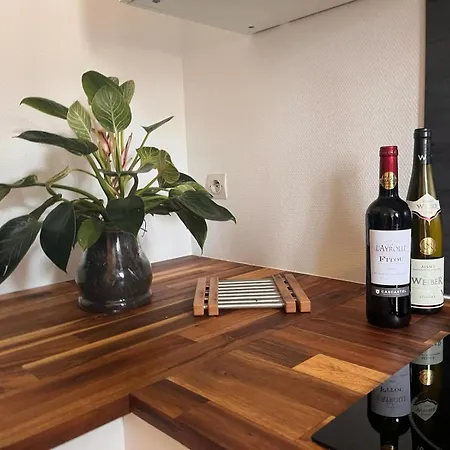Apartment Le Spacieux- Proche De Paris Et Orly - Beau F2 De 52m2 En Centre